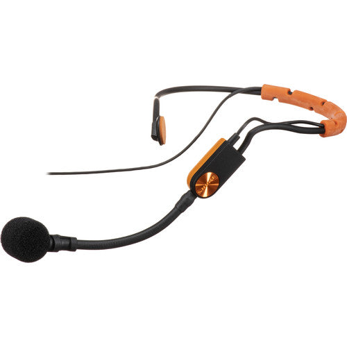 C21) Wireless System for Fitness Instructors SHURE BLX14R/SM31 UHF